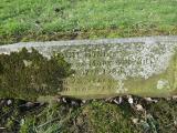 image of grave number 789053